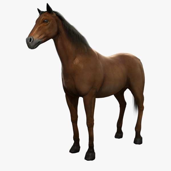 3d model of horse