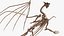 3D model Petrified Dragon Skeleton Posed