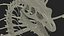 3D model Petrified Dragon Skeleton Posed