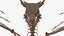 3D model Petrified Dragon Skeleton Posed