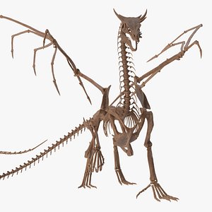 Petrified Dragon Skeleton Posed