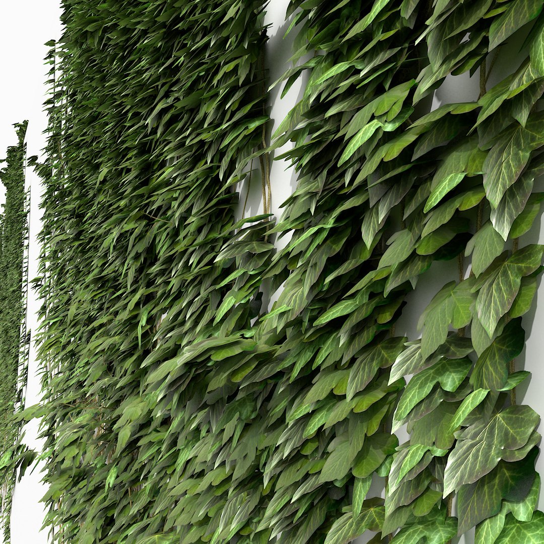 3d ivy garden fence model https://p.turbosquid.com/ts-thumb/GS/JYZdjE/GbPWNWsZ/green_ivyfence_wall_camera27_wall_green_ivy_fence_/jpg/1387837427/1920x1080/fit_q87/a6baf1e633fd25c53e3afe53b09c84b1e746805b/green_ivyfence_wall_camera27_wall_green_ivy_fence_.jpg