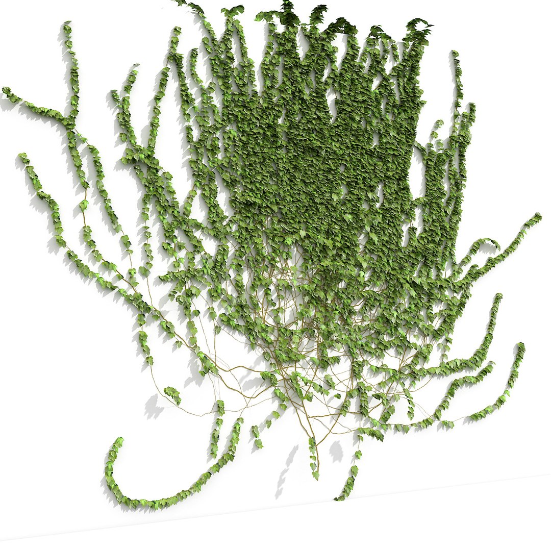 3d ivy garden fence model https://p.turbosquid.com/ts-thumb/GS/JYZdjE/MIroWuIX/green_ivyfence_wall_camera17_wall_green_ivy_fence_copy/jpg/1387837427/1920x1080/fit_q87/63da60e6aea87938579526db657964a613891ba1/green_ivyfence_wall_camera17_wall_green_ivy_fence_copy.jpg