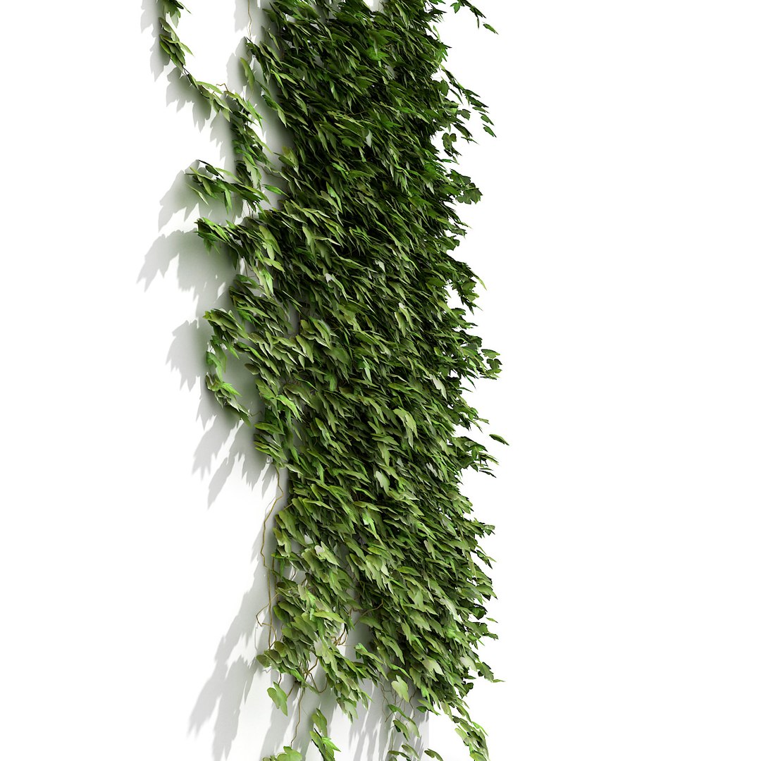 3d ivy garden fence model https://p.turbosquid.com/ts-thumb/GS/JYZdjE/NfRUzoU8/green_ivyfence_wall_camera22_wall_green_ivy_fence_copy/jpg/1387837427/1920x1080/fit_q87/0839f015c8332a3b417c1e25cc1a6706470f5bb1/green_ivyfence_wall_camera22_wall_green_ivy_fence_copy.jpg