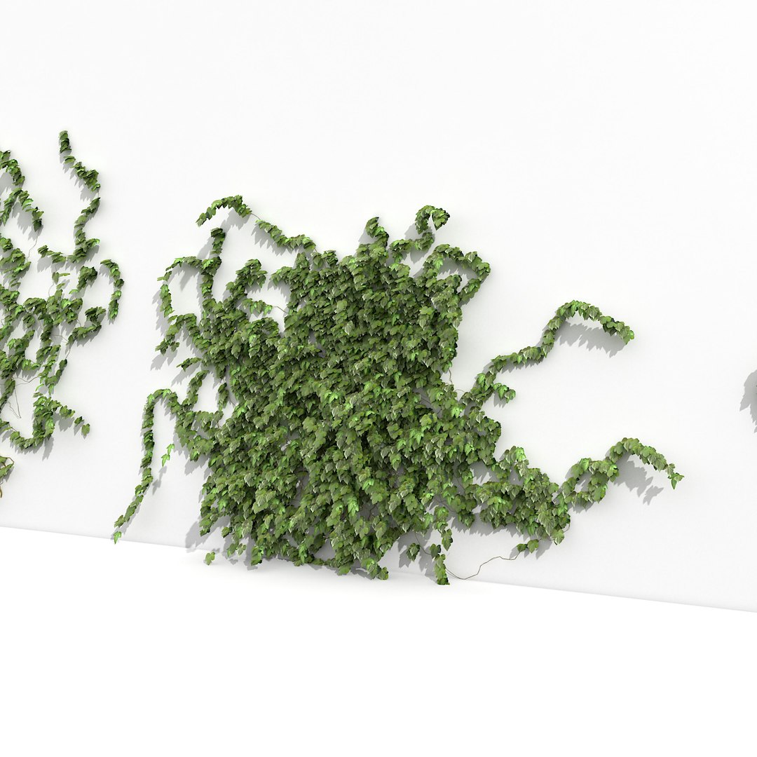 3d ivy garden fence model https://p.turbosquid.com/ts-thumb/GS/JYZdjE/q3wli0qO/green_ivyfence_wall_camera13_wall_green_ivy_fence_/jpg/1387837427/1920x1080/fit_q87/30ee2733ba698452ceeb3fa9105b49bf304b8a97/green_ivyfence_wall_camera13_wall_green_ivy_fence_.jpg
