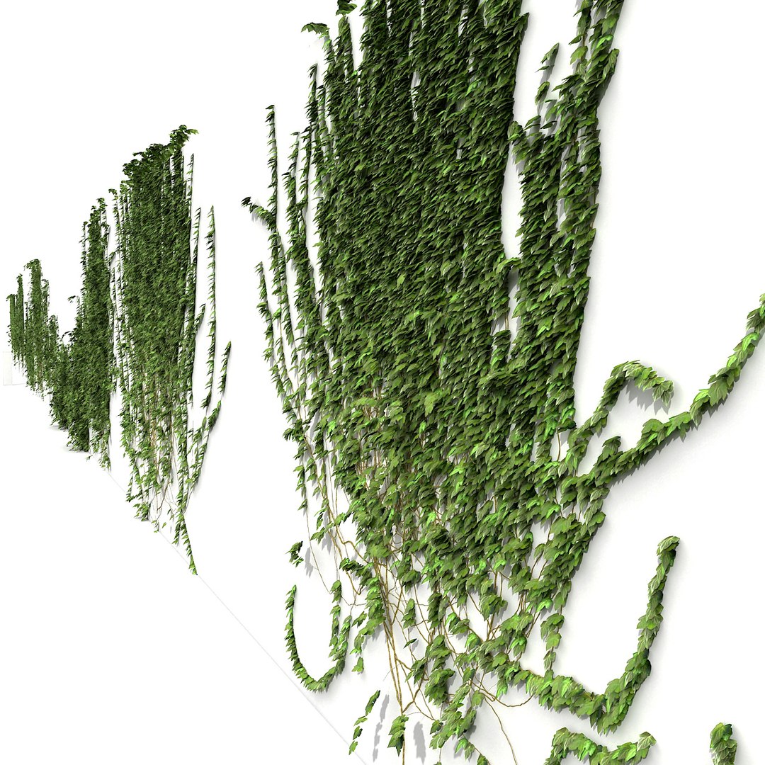 3d ivy garden fence model https://p.turbosquid.com/ts-thumb/GS/JYZdjE/tg0dK1vF/021/jpg/1387837427/1920x1080/fit_q87/8c56b8fae65d7998f556a16c079cf990f69178ee/021.jpg