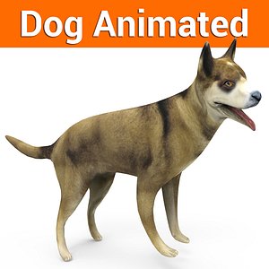german shepherd dog rigged 3D model
