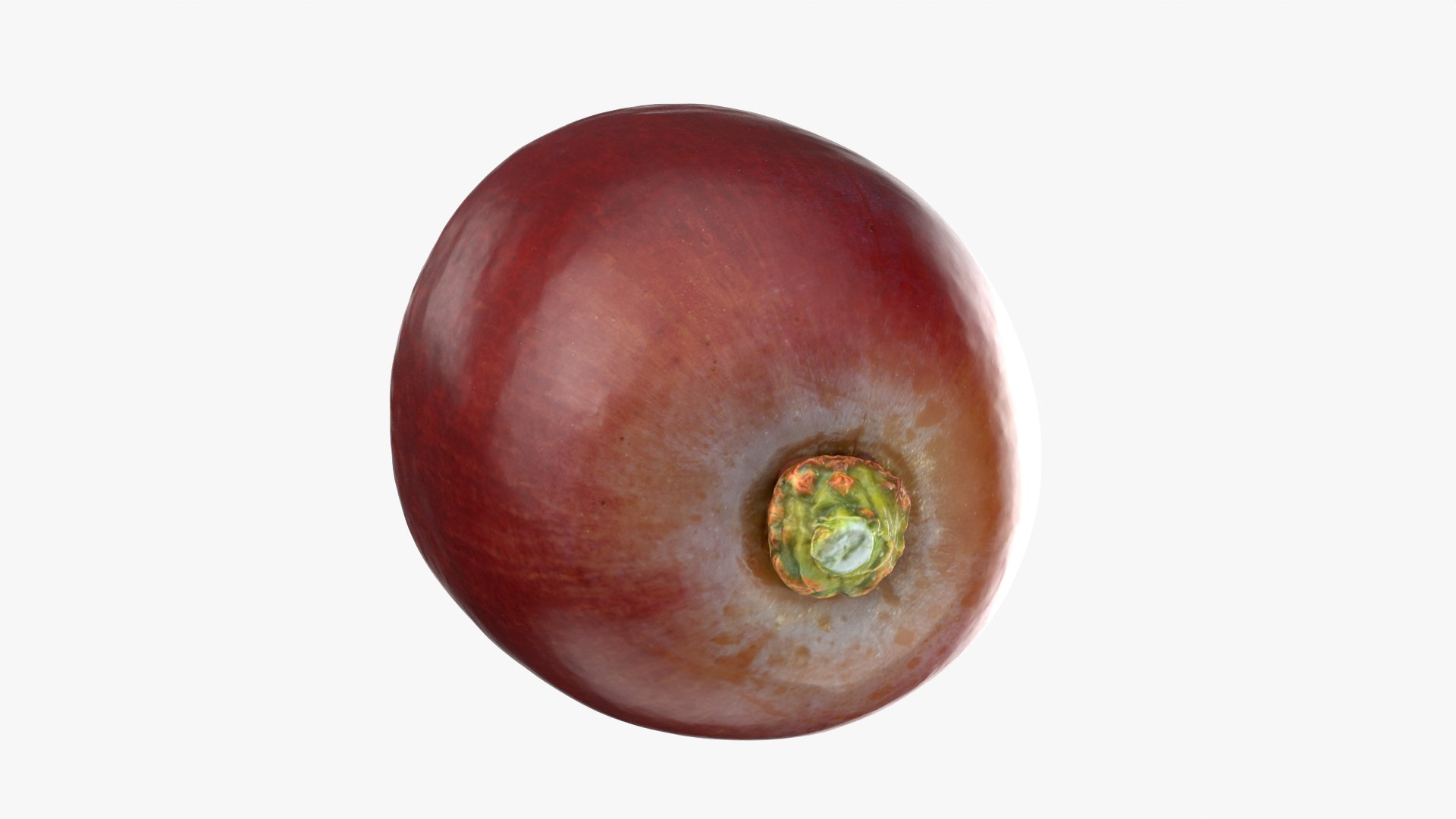 Grape Collection 2 model https://p.turbosquid.com/ts-thumb/GS/PXg5VD/ex/grapehalf02_0004/png/1755779112/1920x1080/fit_q87/7a1b09529d31b4b05813608e2d4e9ca35ecc9c93/grapehalf02_0004.jpg