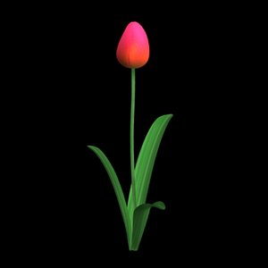 3ds max red tulip