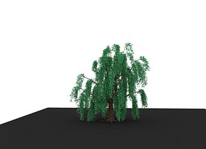 weeping willow 3D