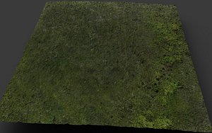 grass field area lowpoly drone scan