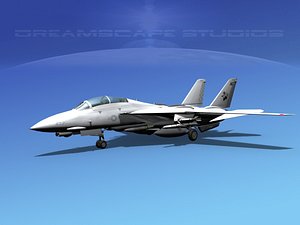 grumman tomcat f-14d fighter aircraft 3d model