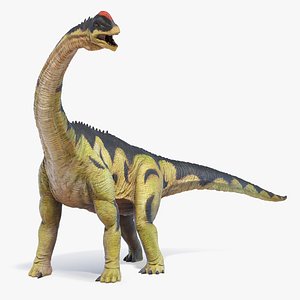 3D Camarasaurus Animated model