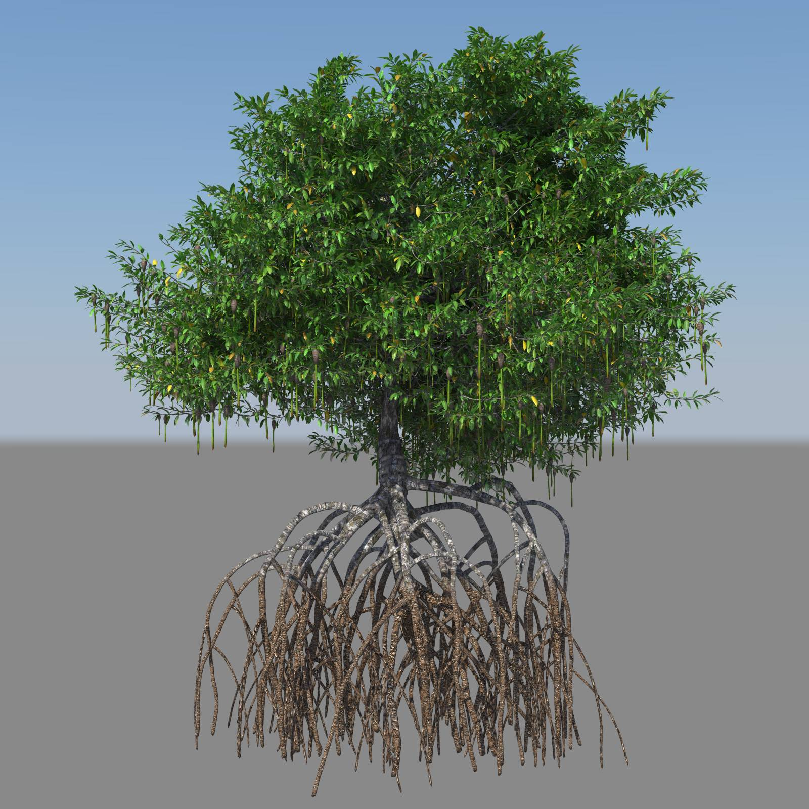 mangrove bushes 3d model