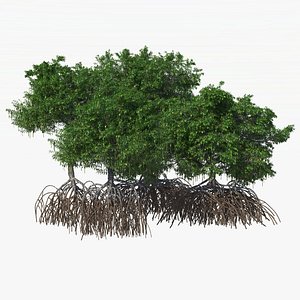 mangrove bushes 3d model