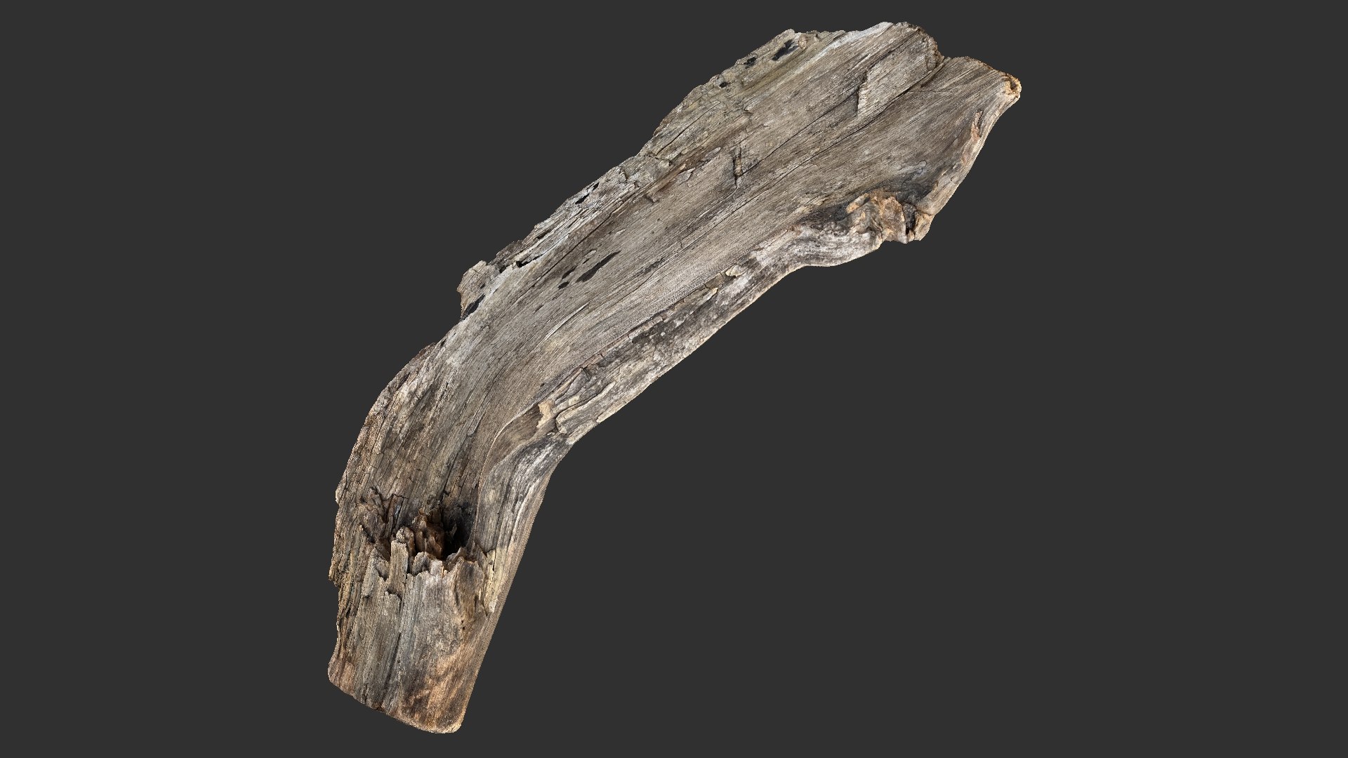 Tree trunk 3d scan 3D model https://p.turbosquid.com/ts-thumb/GS/j9ME12/Q7/scr12/jpg/1699343663/1920x1080/fit_q87/57da0b70c6ad3e8e3ba0a2275d05a0dbf7bba1fa/scr12.jpg