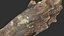 Tree trunk 3d scan 3D model