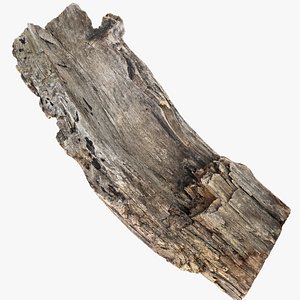 Tree trunk 3d scan 3D model