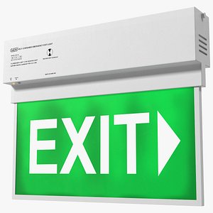 emergency exit light 3D