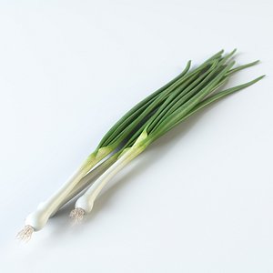 3ds max realistic onion green