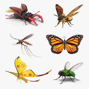 rigged flying insects 3D model