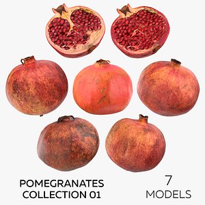 3D Pomegranates Collection 01 - 7 models model