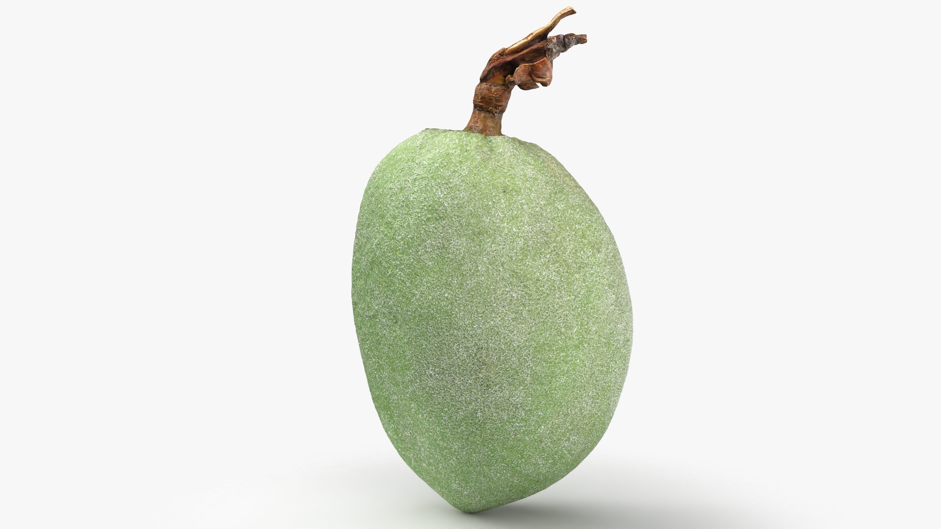 Green Almond - 3D Scanned 3D https://p.turbosquid.com/ts-thumb/GT/C3jlEy/1E/almondgreen02_0002/png/1780475304/1920x1080/fit_q87/282f91fddb7dfd31db74a65780a6fed8a30a562c/almondgreen02_0002.jpg