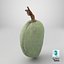 Green Almond - 3D Scanned