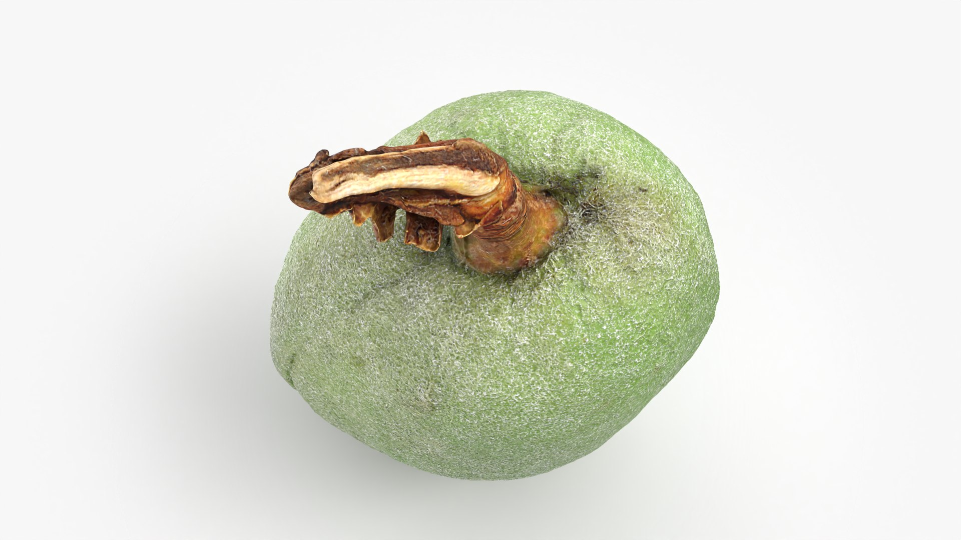 Green Almond - 3D Scanned 3D https://p.turbosquid.com/ts-thumb/GT/C3jlEy/5s/almondgreen02_0005/png/1780475315/1920x1080/fit_q87/2731b771528370c239bfc411417edb9f76585328/almondgreen02_0005.jpg
