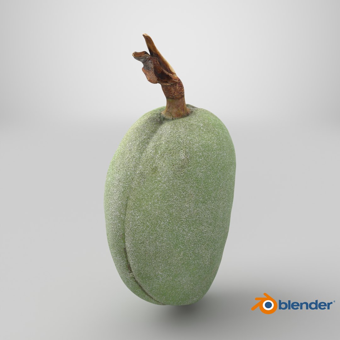 Green Almond - 3D Scanned 3D https://p.turbosquid.com/ts-thumb/GT/C3jlEy/6v/stemcell_blender_cycles_render/png/1782396123/1920x1080/fit_q87/fd105176a4d3641761b498f3c56a830dd9202bfb/stemcell_blender_cycles_render.jpg
