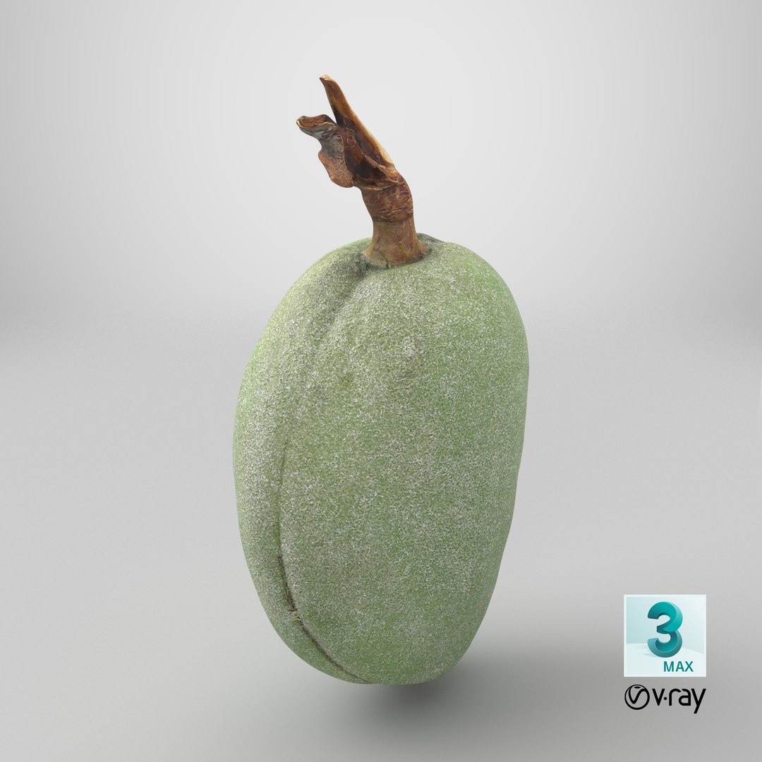 Green Almond - 3D Scanned 3D https://p.turbosquid.com/ts-thumb/GT/C3jlEy/BC/stemcell_max_vray_render/png/1782396133/1920x1080/fit_q87/d7c90a14be5c8b7b9f05a4cd19a5d3ab52ad8c75/stemcell_max_vray_render.jpg