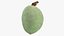 Green Almond - 3D Scanned