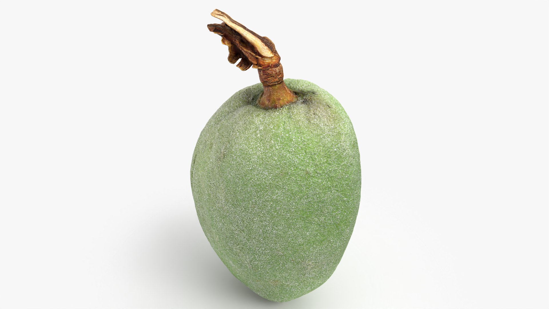 Green Almond - 3D Scanned 3D https://p.turbosquid.com/ts-thumb/GT/C3jlEy/Kb/almondgreen02_0008/png/1780475316/1920x1080/fit_q87/2d2a9d67e81e5f99313ee6fa70b2608df4877323/almondgreen02_0008.jpg