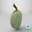 Green Almond - 3D Scanned
