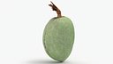 Green Almond - 3D Scanned
