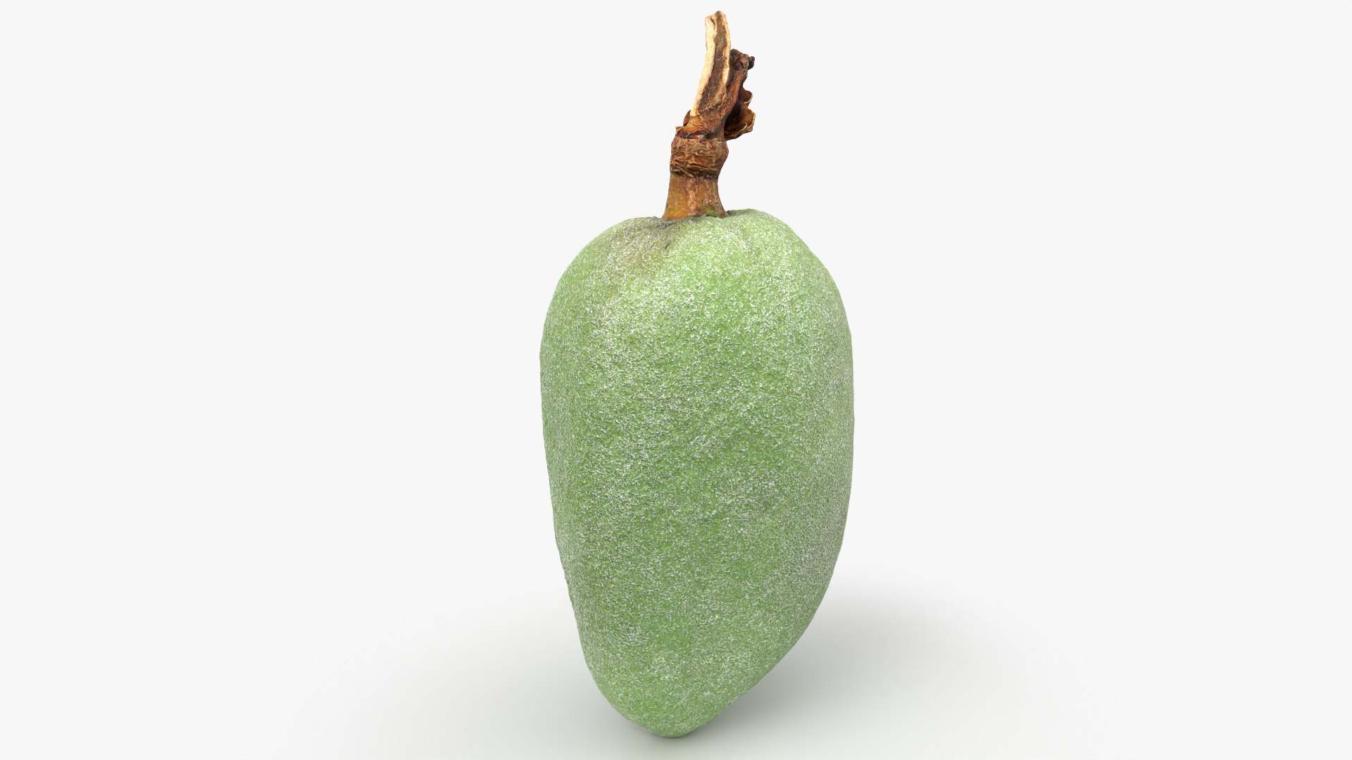Green Almond - 3D Scanned 3D https://p.turbosquid.com/ts-thumb/GT/C3jlEy/SD/almondgreen02_0006/png/1780475310/1920x1080/fit_q87/a4a9205e48023e2f05aef0589e1484ff8724cf77/almondgreen02_0006.jpg