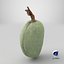 Green Almond - 3D Scanned