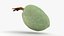 Green Almond - 3D Scanned