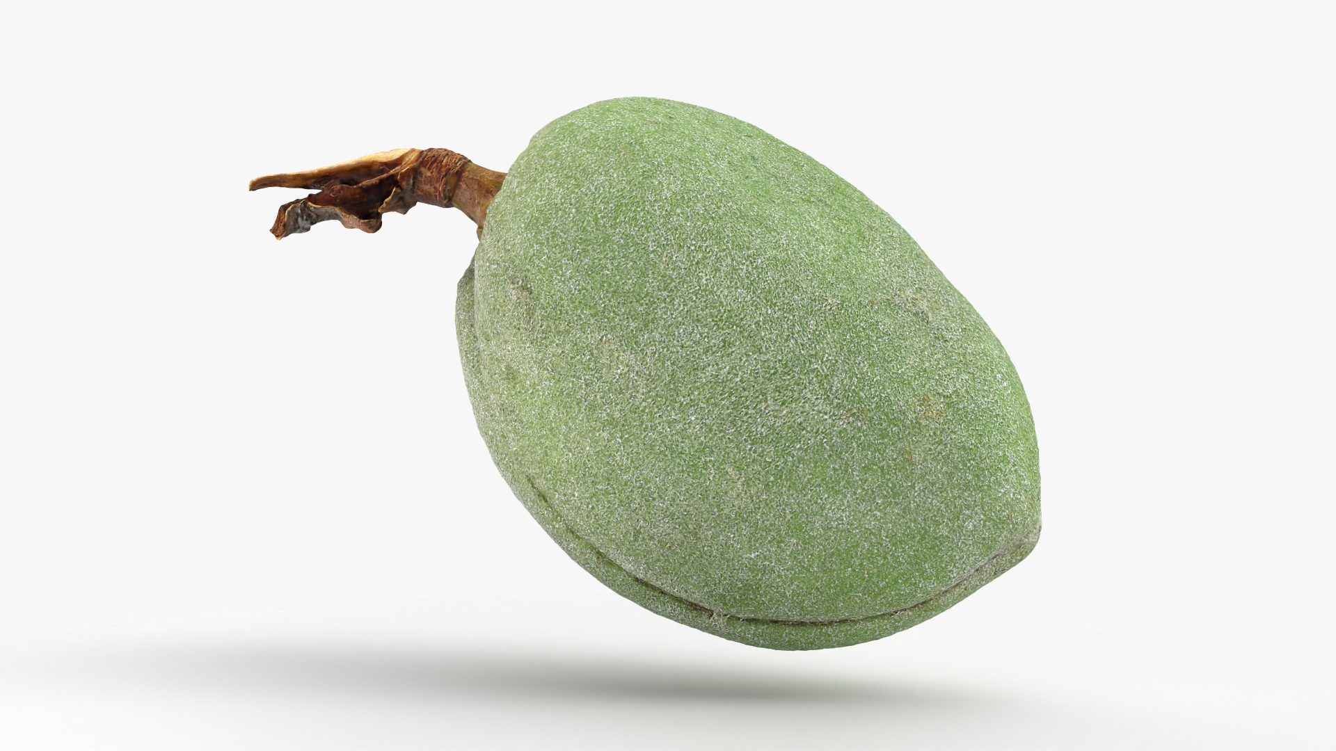 Green Almond - 3D Scanned 3D https://p.turbosquid.com/ts-thumb/GT/C3jlEy/if/almondgreen02/png/1781894820/1920x1080/turn_fit_q99/bd705935b75e63d04d46b6b08d27304b69245215/almondgreen02-1.jpg