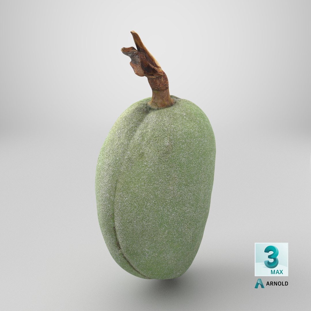 Green Almond - 3D Scanned 3D https://p.turbosquid.com/ts-thumb/GT/C3jlEy/io/stemcell_max_arnold_render/png/1782396135/1920x1080/fit_q87/d4760de2cc65bf01c06db25cc8f5df4f1ea270d6/stemcell_max_arnold_render.jpg