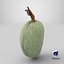 Green Almond - 3D Scanned