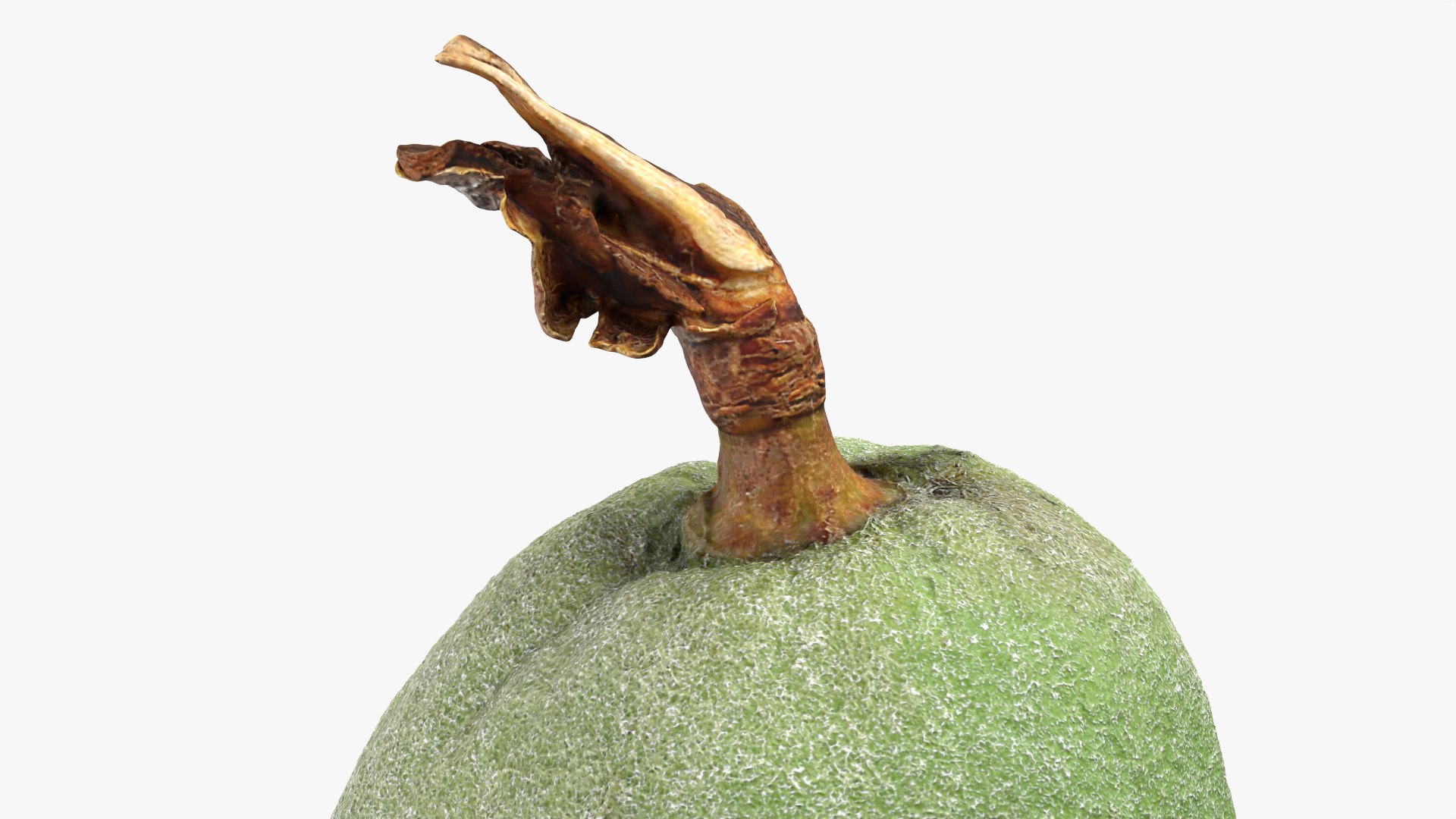 Green Almond - 3D Scanned 3D https://p.turbosquid.com/ts-thumb/GT/C3jlEy/ug/almondgreen02_0007/png/1780475314/1920x1080/fit_q87/6ef665401aee8fab682a43f40c00b35582b99b20/almondgreen02_0007.jpg