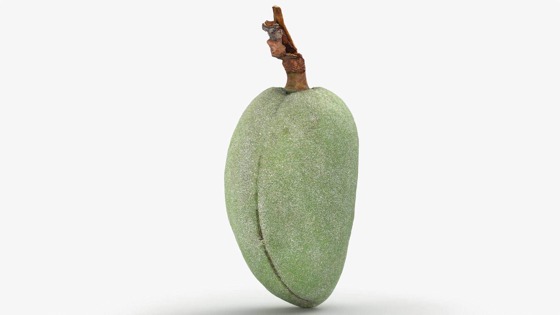 Green Almond - 3D Scanned 3D https://p.turbosquid.com/ts-thumb/GT/C3jlEy/uj/almondgreen02_0004/png/1780475307/1920x1080/fit_q87/2a706d796feda5a08fd7c65207b0a807794c3ab3/almondgreen02_0004.jpg