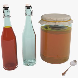 kombucha tea 3D model