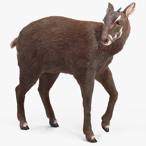 Saola Fur Rigged 3D model
