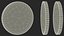 3D Olympic Gold Medal