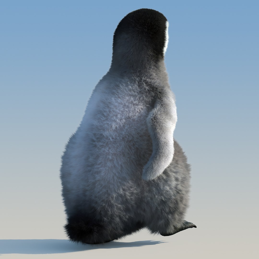 emperor penguin chick fur 3d model https://p.turbosquid.com/ts-thumb/GT/TWqnGn/17cMfwnu/chick_fur_rigged_05/jpg/1476350417/1920x1080/fit_q87/3b11ba7d3d0fc84cbc33ef7cc7e853f4db8b6b4a/chick_fur_rigged_05.jpg