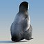 Emperor Penguin Chick(FUR)(RIGGED)