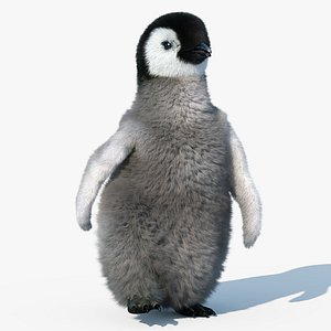 Emperor Penguin Chick(FUR)(RIGGED)