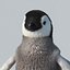 Emperor Penguin Chick(FUR)(RIGGED)